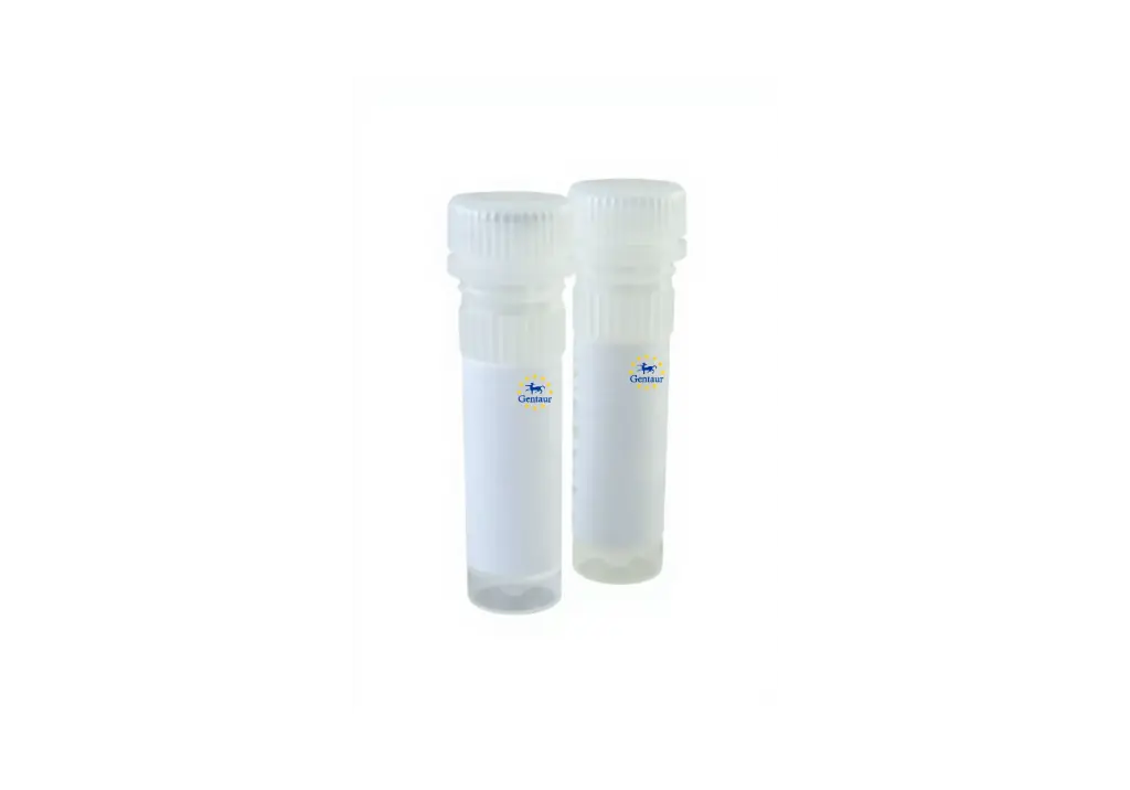  qmax green with non reactive blue tracking dye high rox qpcr mix 2500 reactions