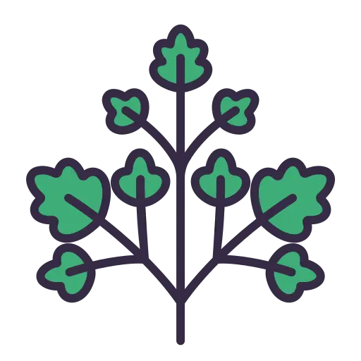 CARIBBEAN AGRO-ECONOMIC SOCIETY